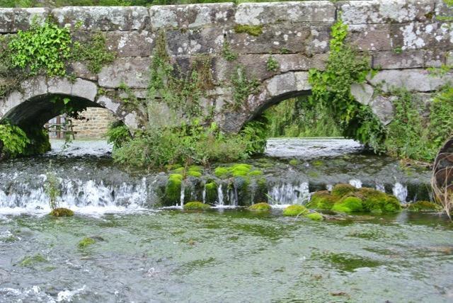 Posada Rural La Flor Del Nogal Ruente Bagian luar foto
